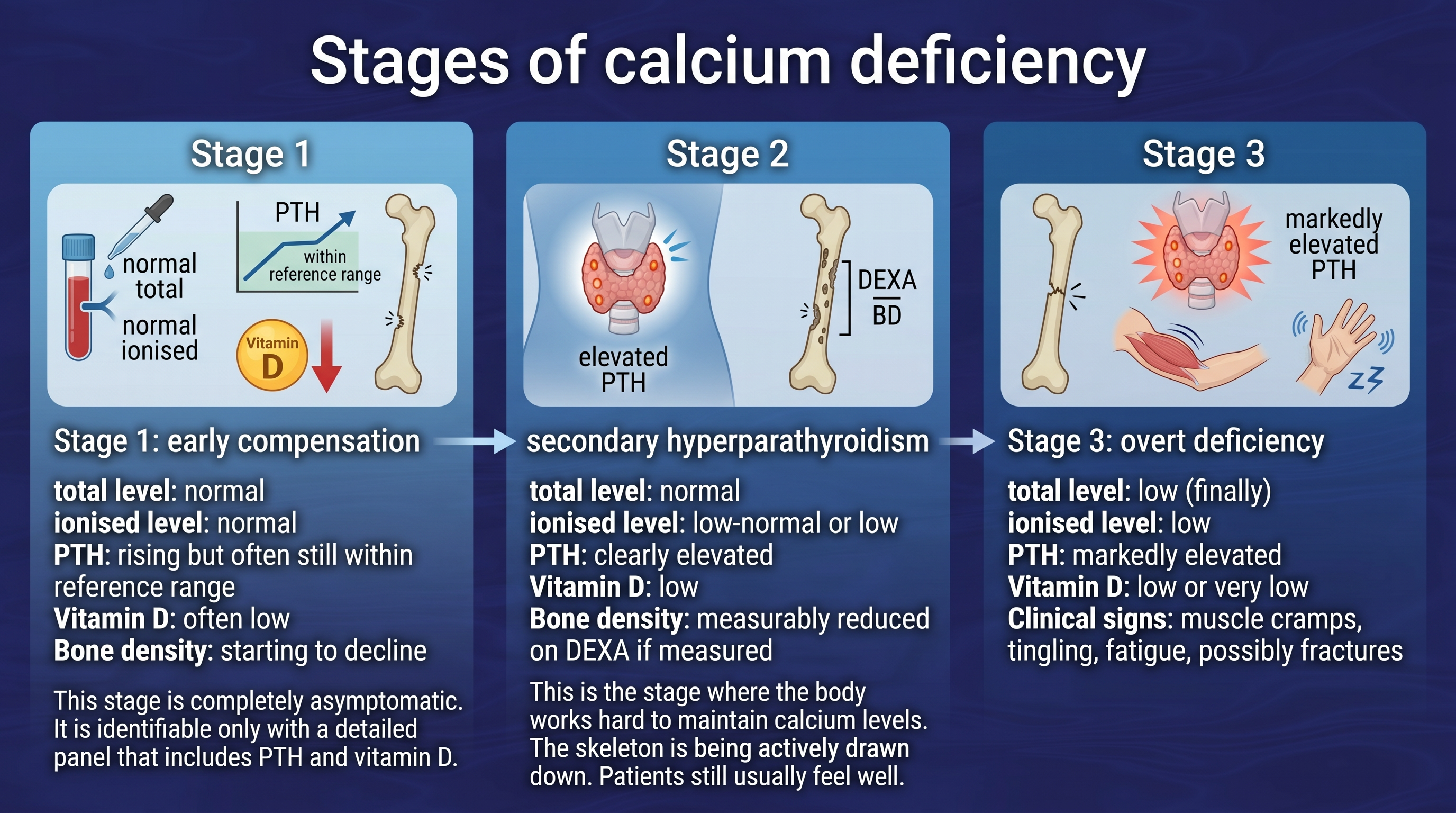 Calcium After Weight Loss Surgery: Bone Health, Absorption, and Body Contouring Preparation 17 Stages of calcium deficiency